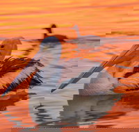 4 Pelican Court - River Shack Rentals - Accommodation Sydney