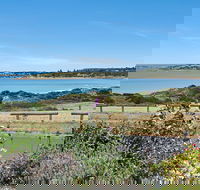 52 Seaview Avenue - Accommodation Sydney