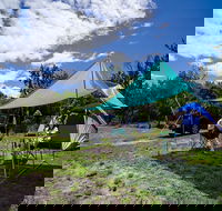 Banksia Green campground - Sydney 4u