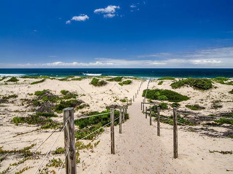 Banksia Green Campground - Sydney 4u 2