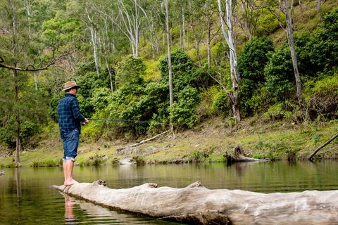 Bass Lodge - Accommodation Sydney 0