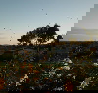 Belubula Cottage Canowindra - Accommodation Sydney