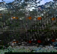 Billabong Retreat - Sydney 4u