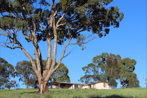 Clare View Accommodation - Clare View Cottage - Accommodation Sydney 2