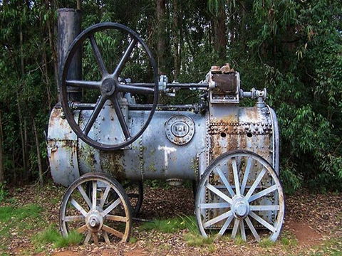 Dingo Tops Campground - Accommodation Sydney 1