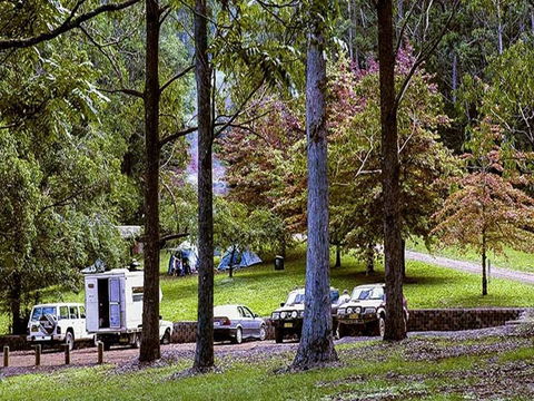 Dingo Tops Campground - Accommodation Sydney 2