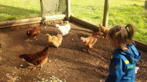 Emerald Park Holiday Farm - Accommodation Sydney 2