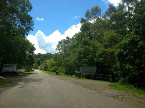 Ferndale Caravan Park - Sydney 4u 1
