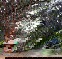 Fernleigh Accommodation - Sydney 4u