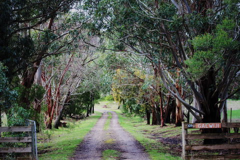 Galwiji Homestead - Sydney 4u 1