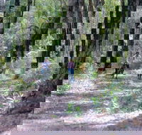 Honeymoon Pool - Gelcoat Camp at Wellington National Park - Accommodation Sydney