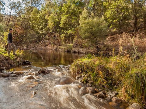 Jacobs River Campground - Accommodation Sydney 2