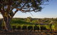Longview Vineyard Accommodation - thumb 2