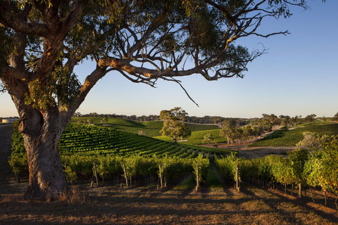 Longview Vineyard Accommodation - Accommodation Sydney 2