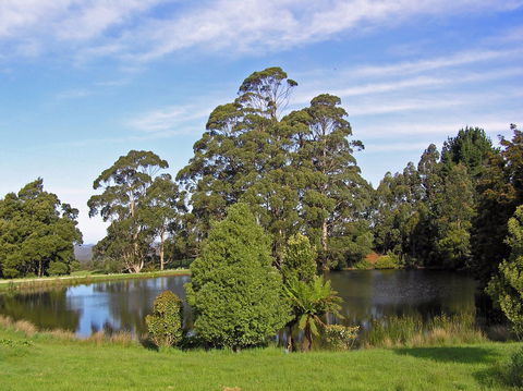 Newry Park Cottage - Accommodation Sydney 1