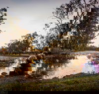 Swagsman Motor Inn - Accommodation Sydney