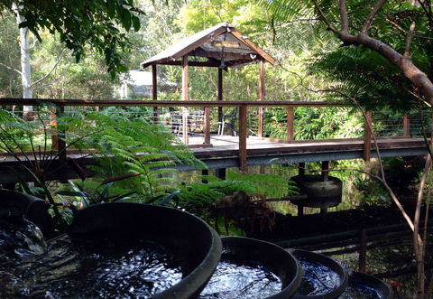 The Oasis And Wellness Centre  At One Mile Beach - Accommodation Sydney 0