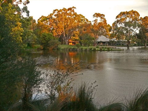 The Burrow At Wombat Bend Bed And Breakfast - Accommodation Sydney 2