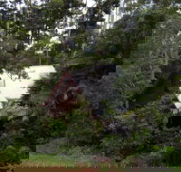 Turkeys Nest Rainforest Cottages Mt Glorious - Sydney 4u