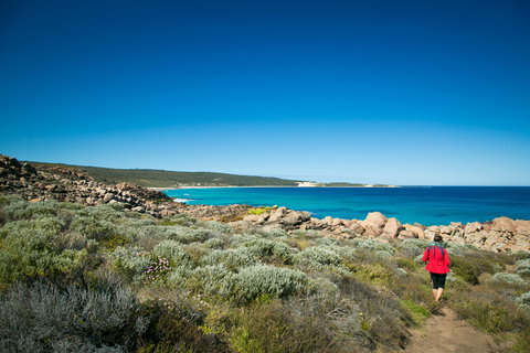 Wyadup Brook Cottages - Accommodation Sydney 0