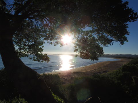 Apex Beachside Holiday Park - Accommodation Sydney 1