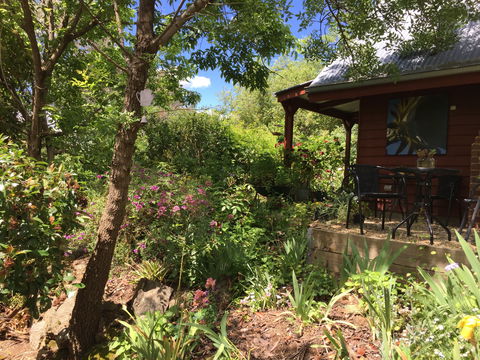 Artscape Cottage Beechworth - Accommodation Sydney 2