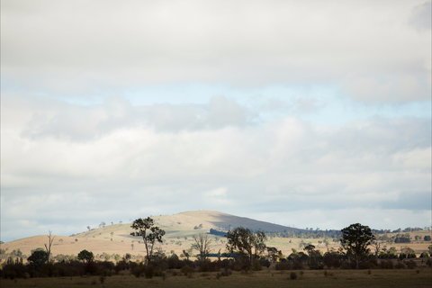 Aurelias Farm Bed And Breakfast - Accommodation Sydney 1