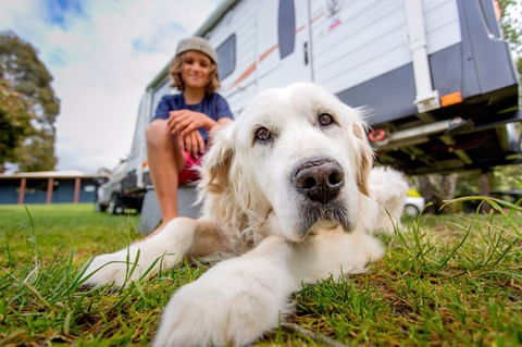 BIG4 St Helens Holiday Park - Accommodation Sydney 2