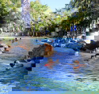 Big4 Aussie Outback Oasis Holiday Park - Accommodation Sydney