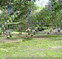 Broadwater camping area Abergowrie State Forest - Accommodation Sydney