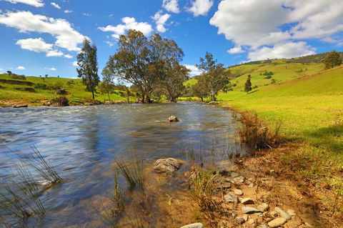 Elm Cottage Tumut - Sydney 4u 0