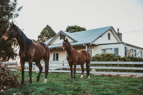 Glenburnie Cottage - Accommodation Sydney 0