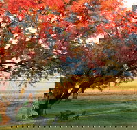 Little Kickabell Country Homestead - Accommodation Sydney