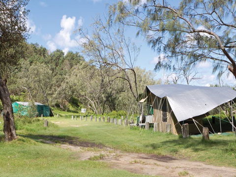 Pebbly Beach Campground - Yuraygir National Park - Sydney 4u 0