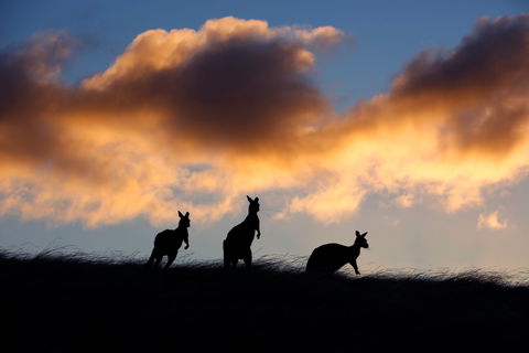 Sky House LifeTime Private Retreats - Accommodation Sydney 1