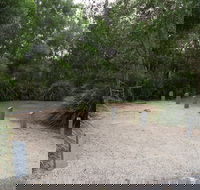 Springbrook National Park camping - Accommodation Sydney