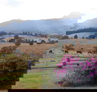 The Barn  House Farm Stay at Possum Manor - Accommodation Sydney