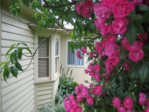 Valley Views Bed And Breakfast - Accommodation Sydney 0