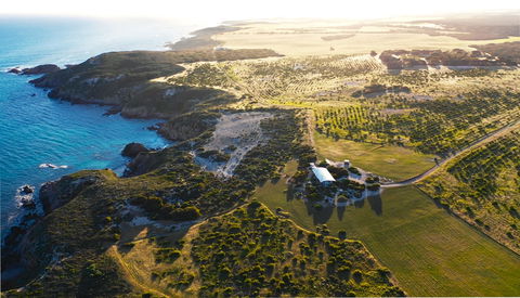Yondah Beach House - Accommodation Sydney 1