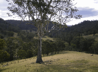 Yasuragi Cabins - Sydney Resort 1