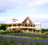 Serendipity Lavender Farm - Sydney 4u