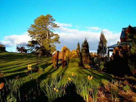 Gracehill B And B - Sydney Resort 4