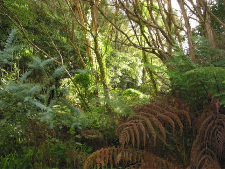 Deja Vu Lakes Entrance B And B - Sydney 4u 2