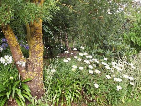 Warragul South VIC Accommodation Sydney