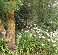 Springbank Bed and Breakfast - Accommodation Sydney