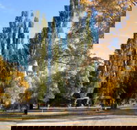 Omeo Caravan Park - Accommodation Sydney