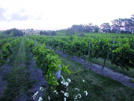 Glen Erin At Lancefield - Accommodation Sydney 3