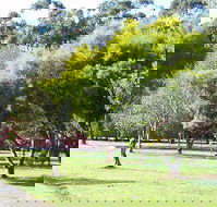 Otways Tourist Park - Accommodation Sydney