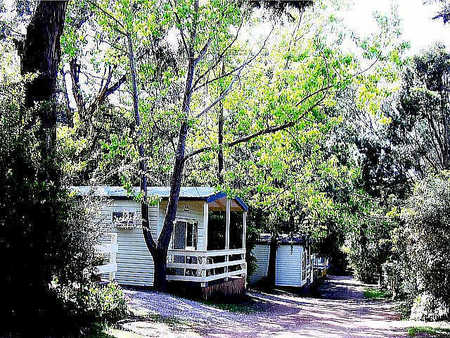 Flinders Caravan Park - Sydney 4u 0