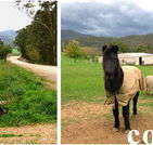 Emerald Park Holiday Farm - Sydney 4u